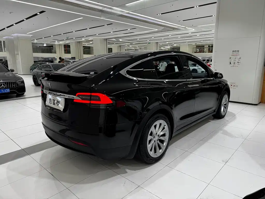Tesla Model X — миниатюра 14
