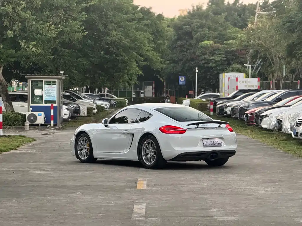 Porsche Cayman — миниатюра 6