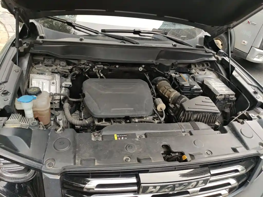 Haval Big Dog — миниатюра 16