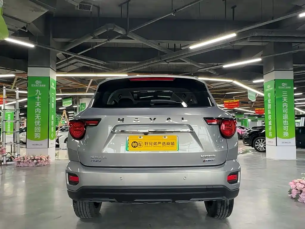 HAVAL  SECOND GENERATION BIG DOG NEW ENERGY