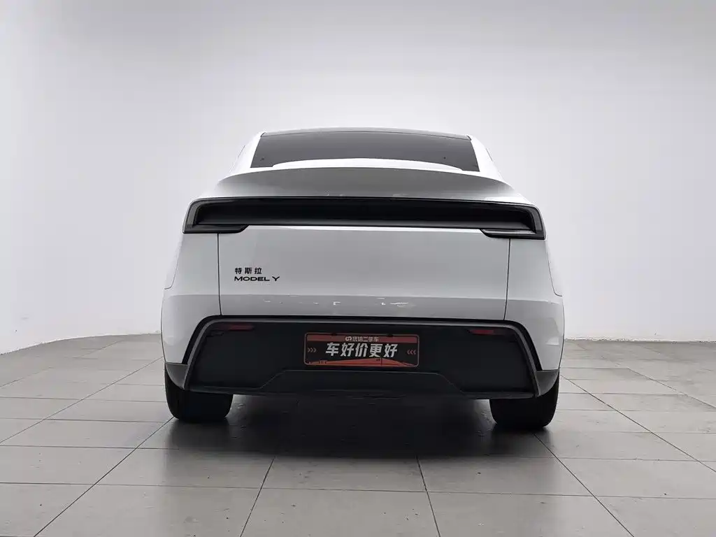 Tesla Model Y — миниатюра 4