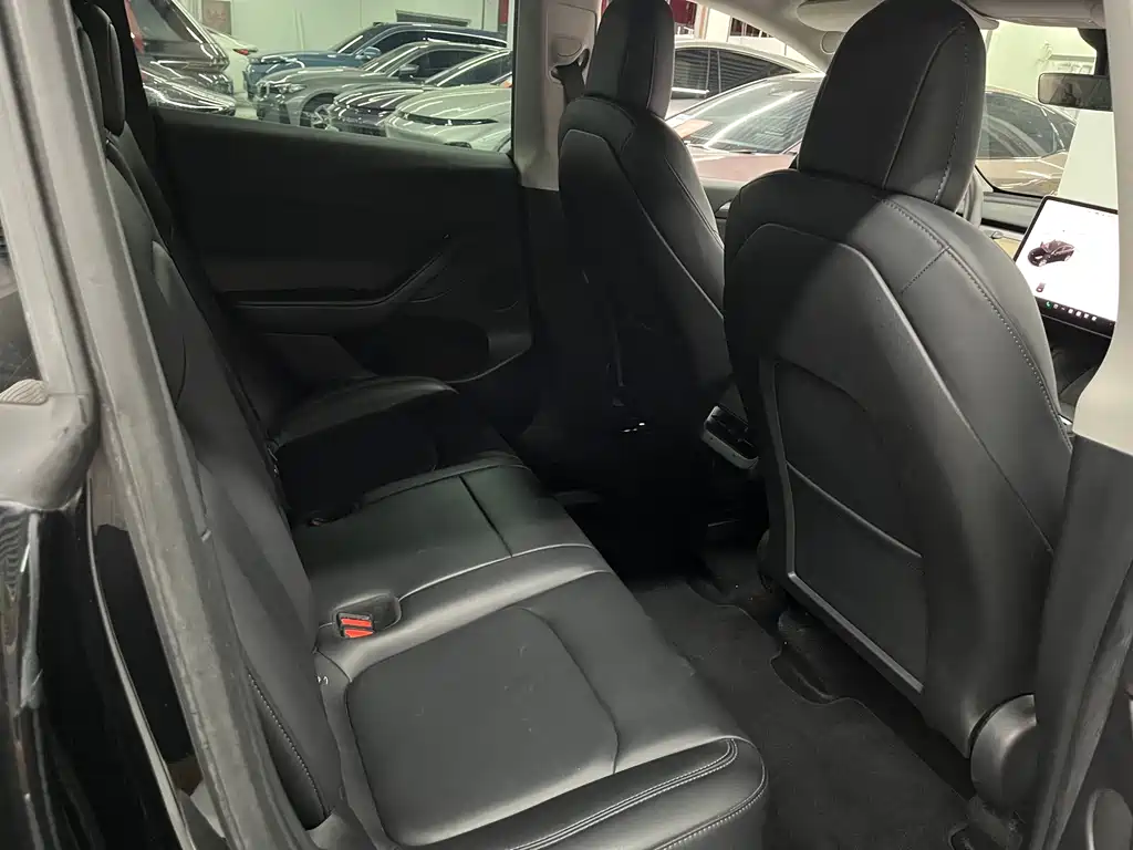 Tesla Model Y — миниатюра 11