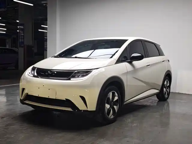 2025 BYD Dolphin