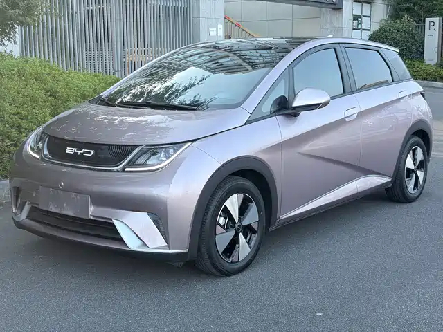 2024 BYD Dolphin