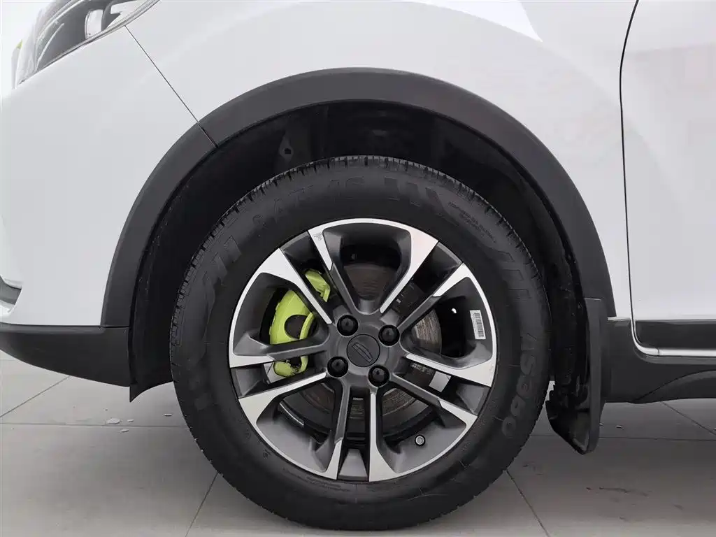 GEELY GEOMETRY EX3 KUNG FU COW