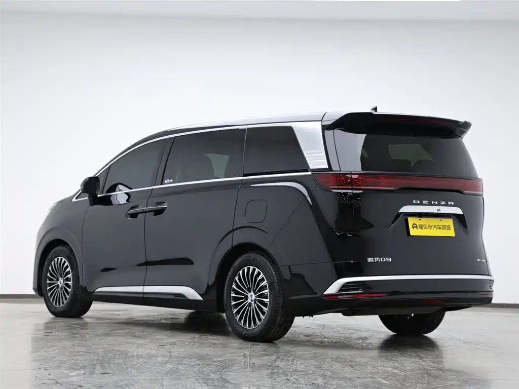 DENZA D9