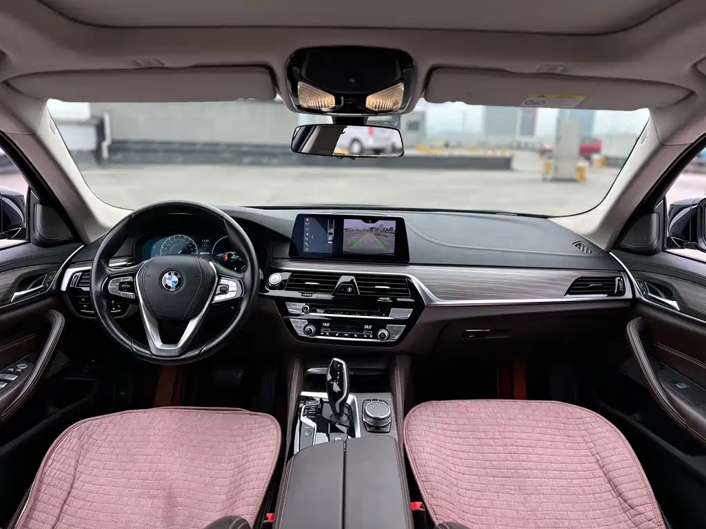 BMW 5 SERIES NEW ENERGY