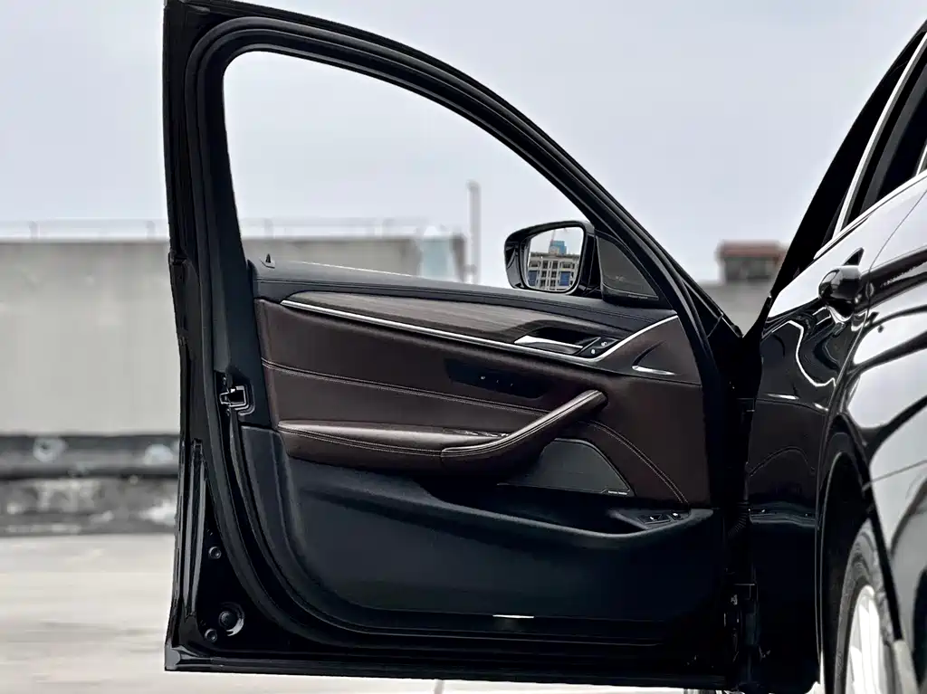 BMW 5 SERIES NEW ENERGY