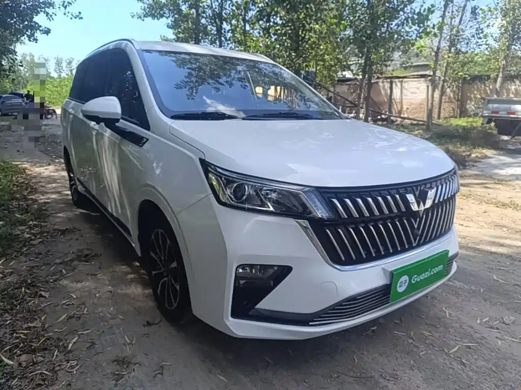 Wuling Jiachen — миниатюра 4