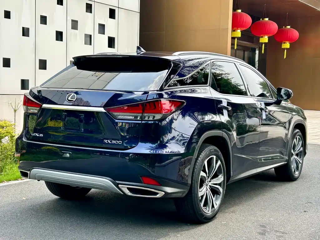 Lexus RX 2020 300 Elegant VI