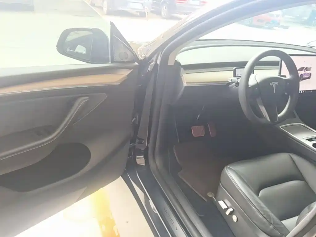 Tesla Model Y — миниатюра 16
