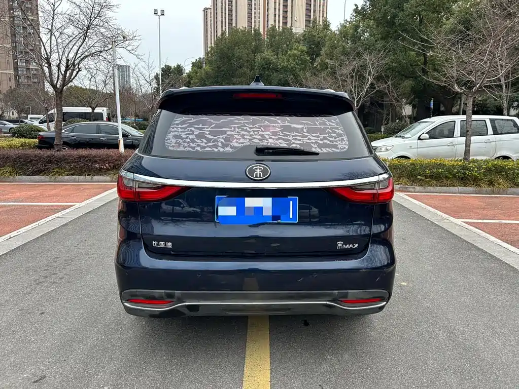 BYD MAX - фото 4