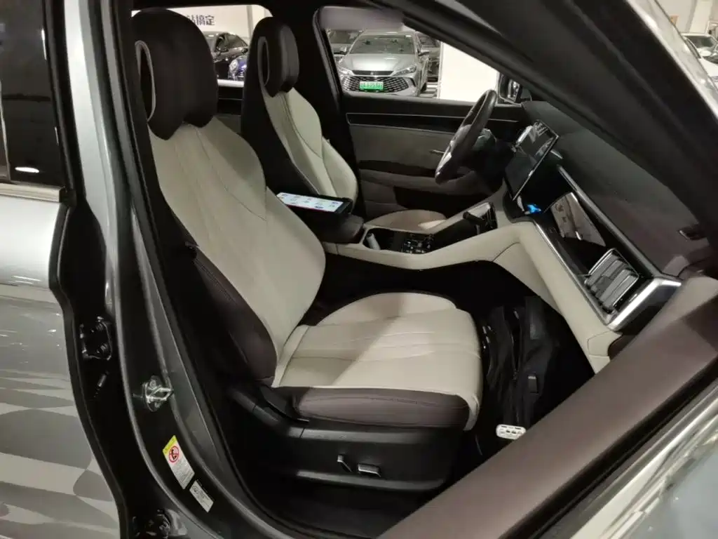 BYD PLUS New Energy — миниатюра 25