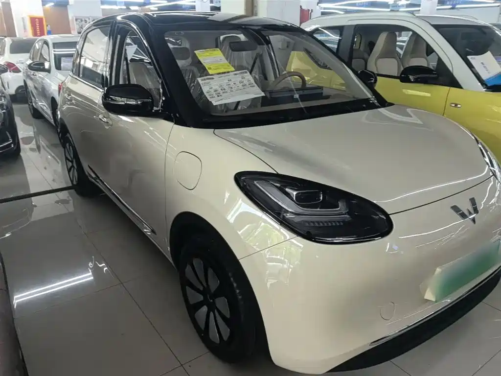 Wuling Binguo 2025 333km Enjoy