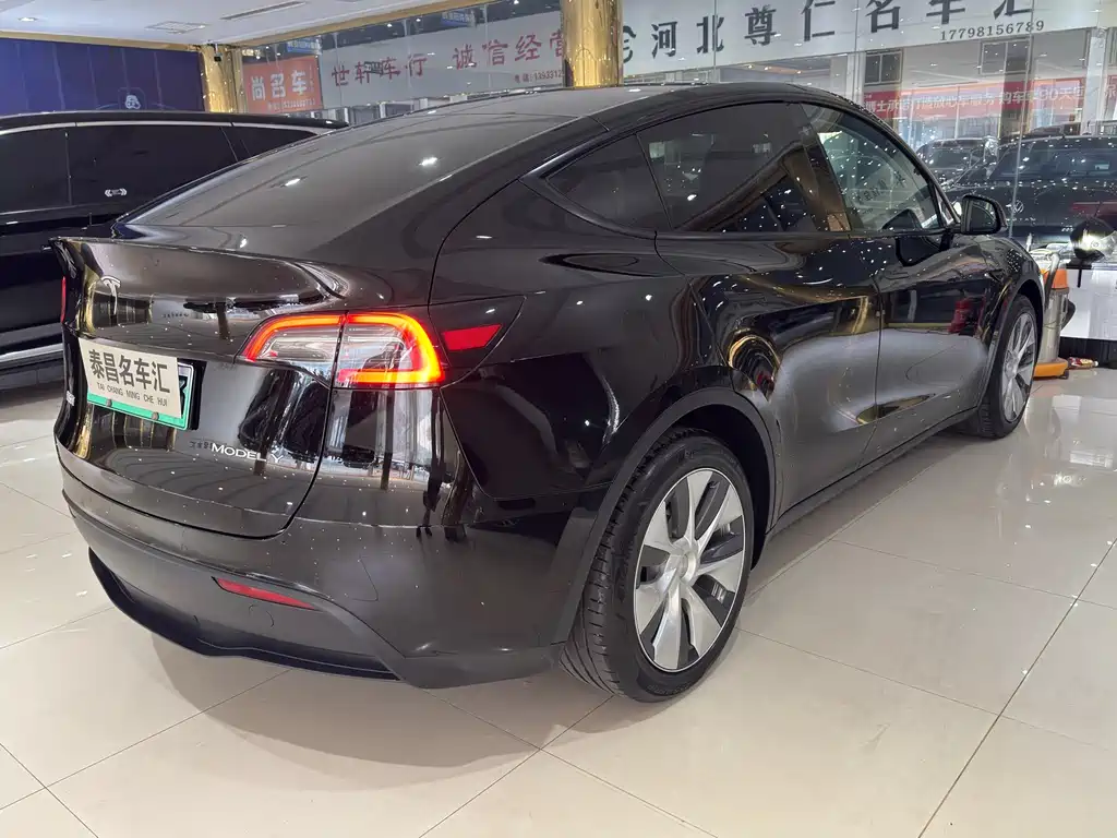 Tesla Model Y — миниатюра 6