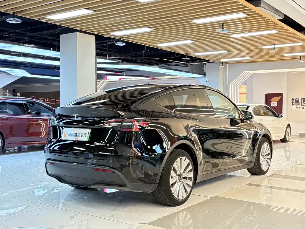 Tesla Model Y — миниатюра 5