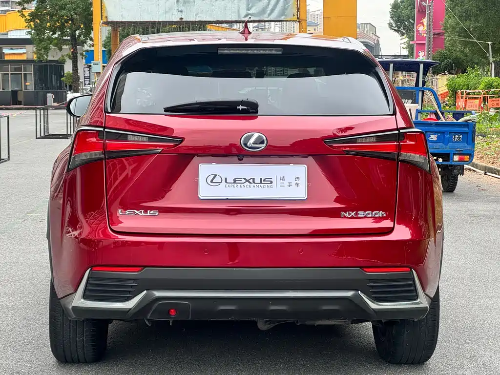 LEXUS NX