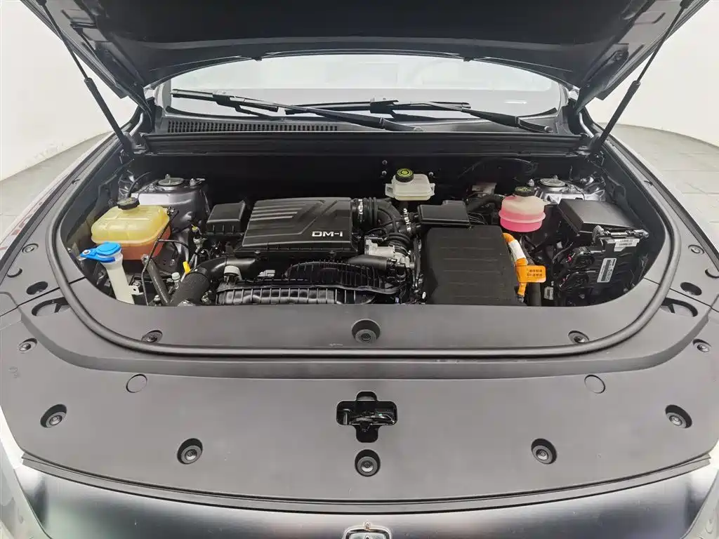 BYD Song Pro Pro 2022 DM-i 51km Luxury