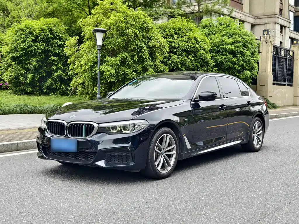 BMW 5 Series 2019