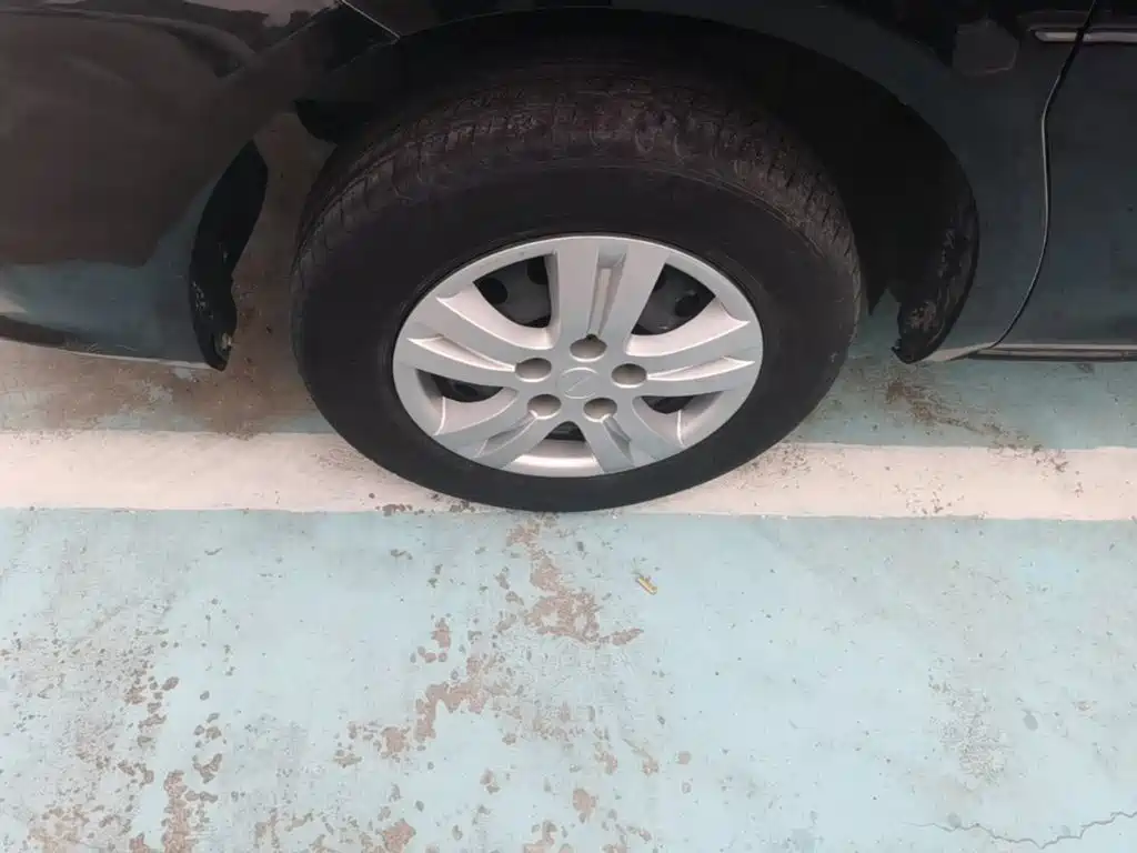 Fengxing Lingzhi — миниатюра 23