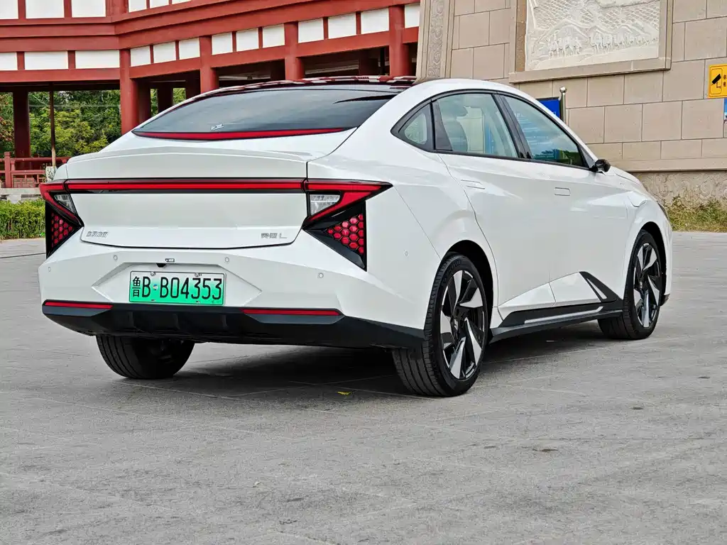 Lingxi Lingxi L — миниатюра 8