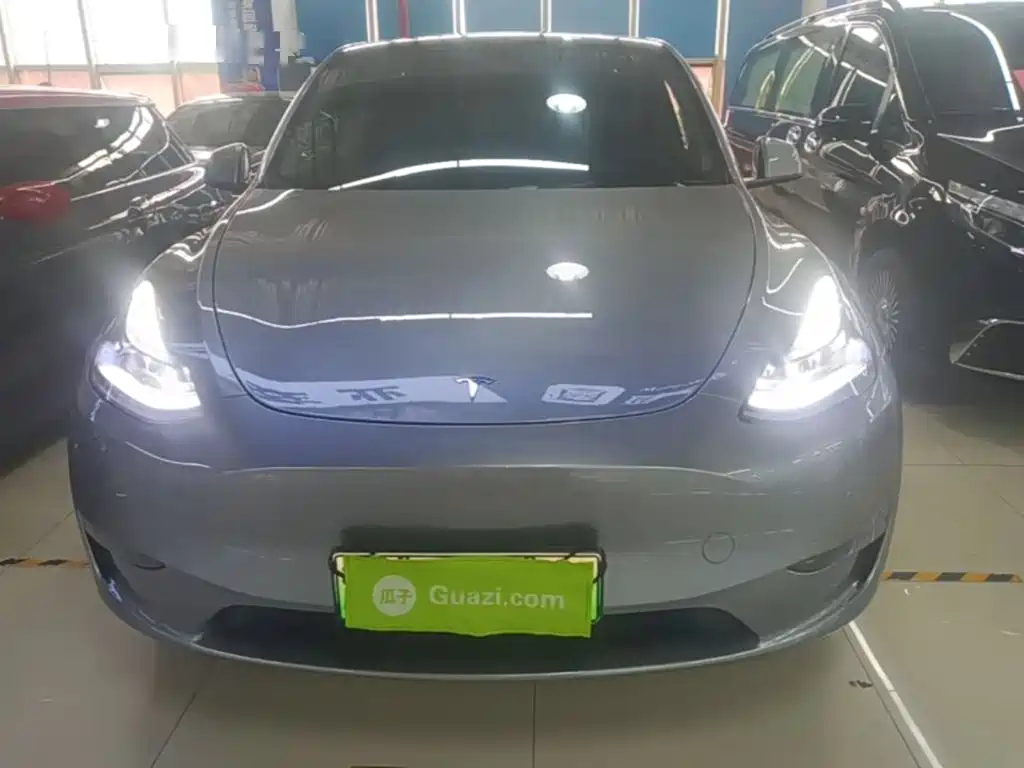 Tesla Model Y — миниатюра 3