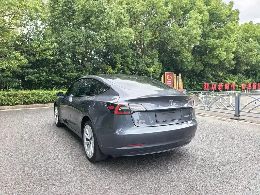 Tesla Model 3 2021 3D1
