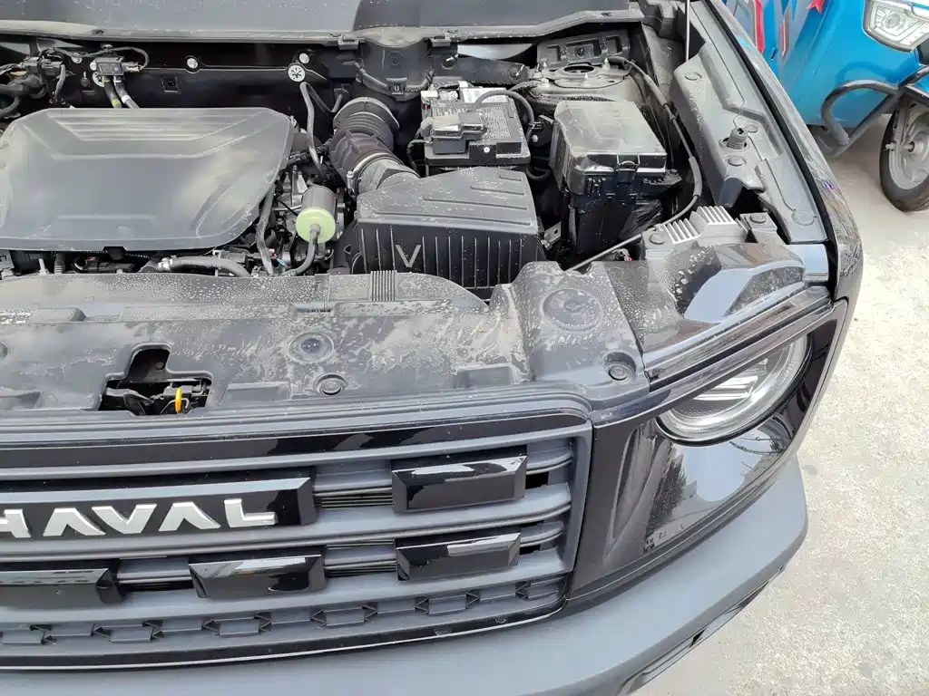 Haval Big Dog — миниатюра 21