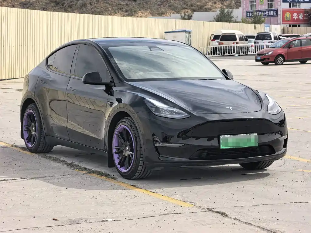 Tesla Model Y — миниатюра 3