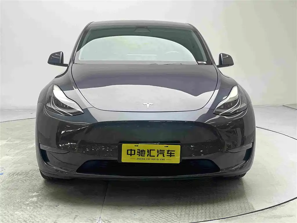 Tesla Model Y — миниатюра 2