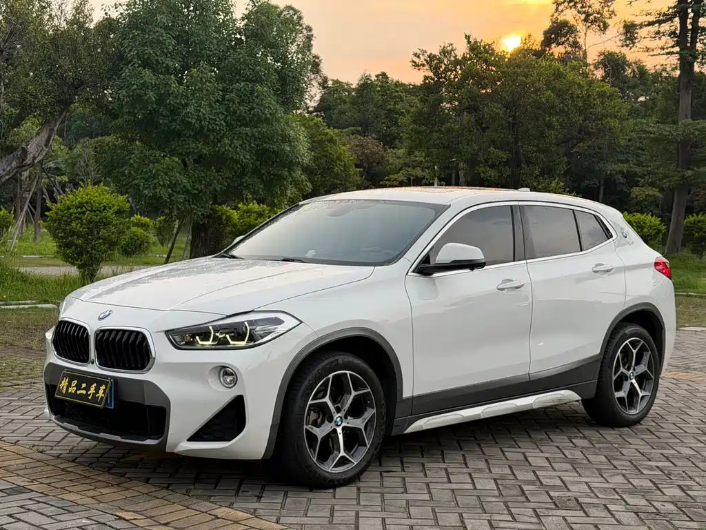 BMW X2 (Import) 2019