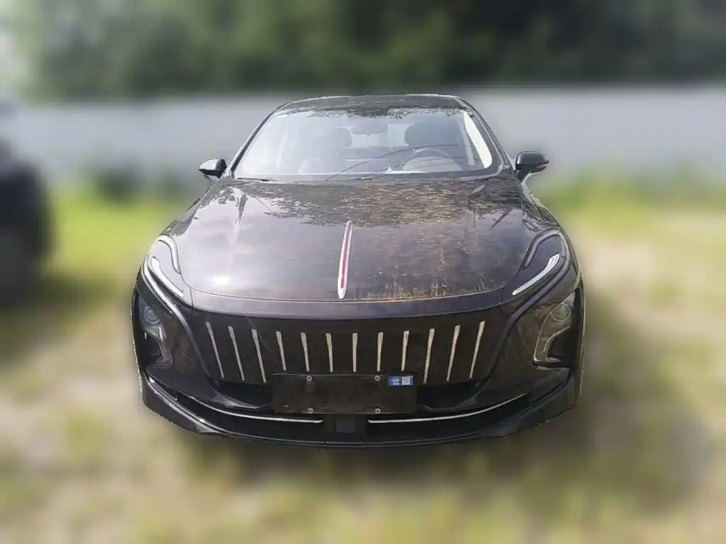 Hongqi Hongqi E-QM5 — миниатюра 5