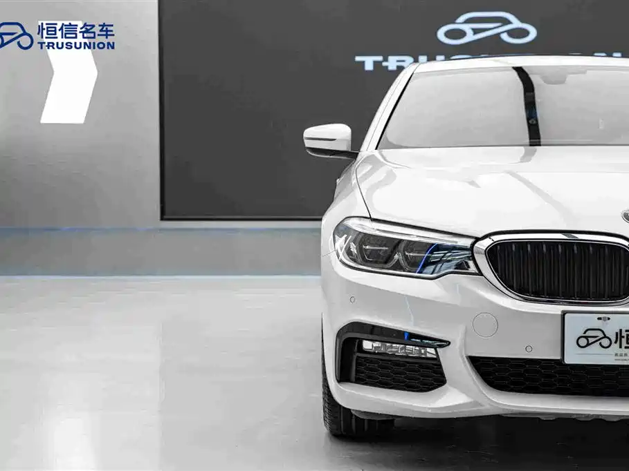 BMW 5 Series 5 2018 530Li Premium M Sport