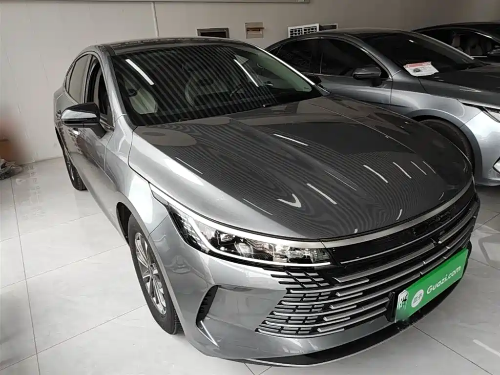 BYD Destroyer 05 2024 DM-i 55KM Luxury