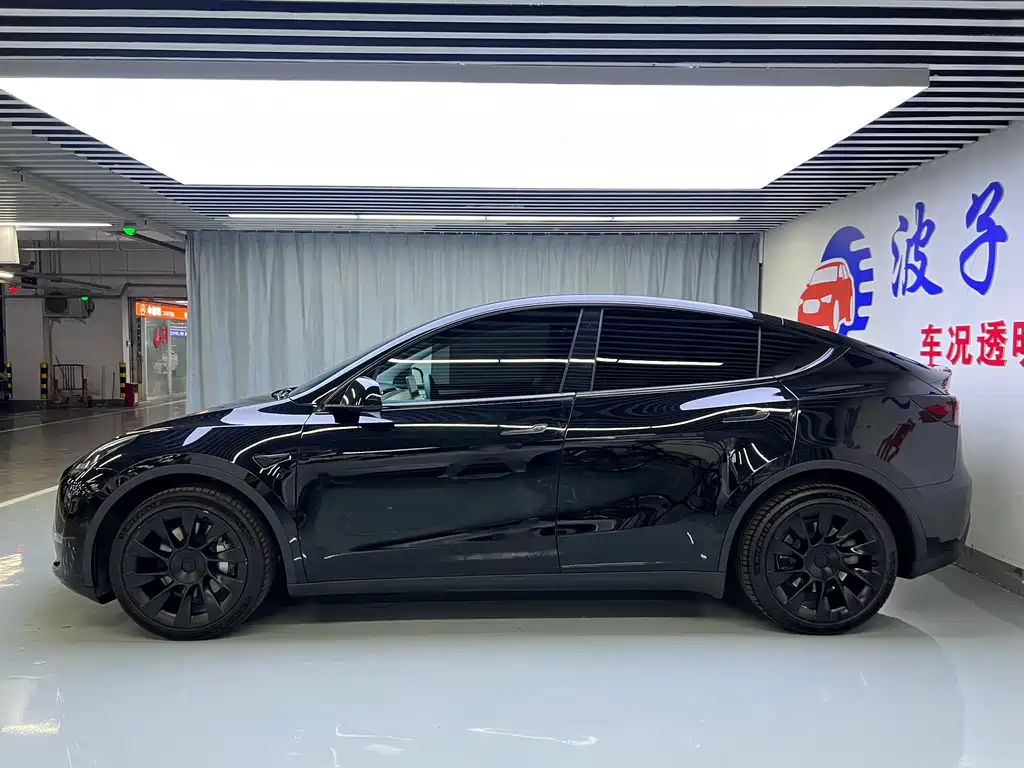 Tesla Model Y — миниатюра 4