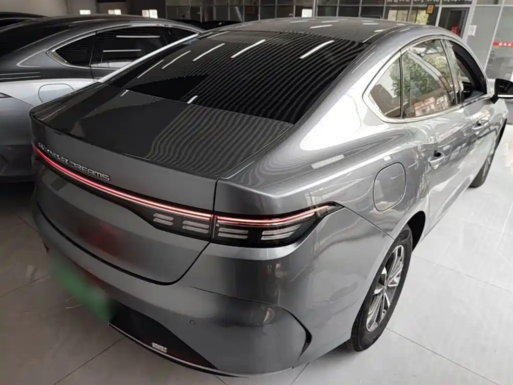 BYD Destroyer 05 2024 DM-i 55KM Luxury