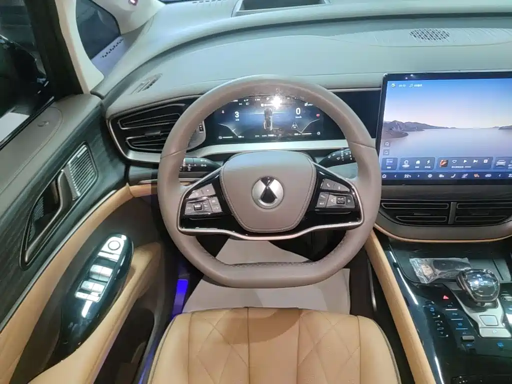 Denza Denza D9 — миниатюра 11
