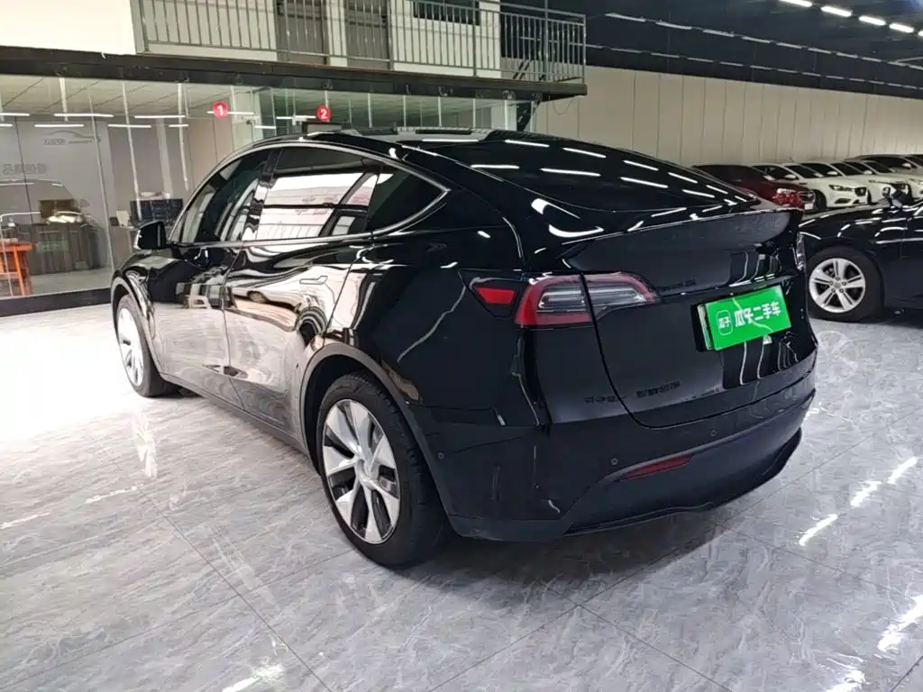 Tesla Model Y — миниатюра 5