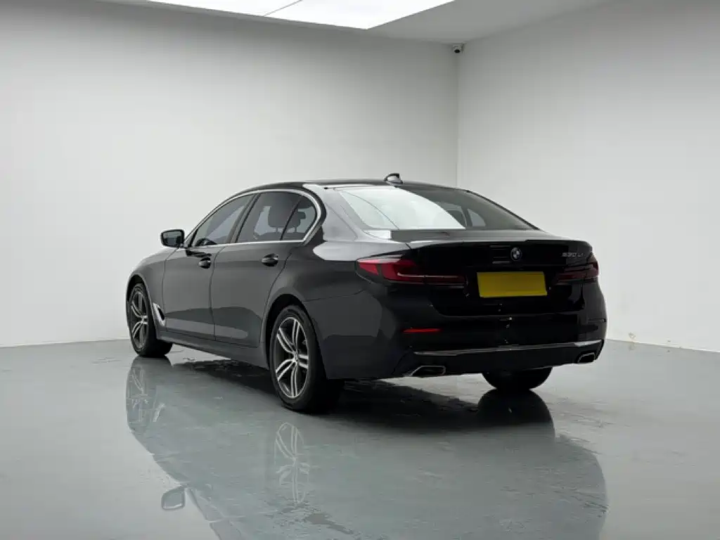 BMW 5 Series — миниатюра 4