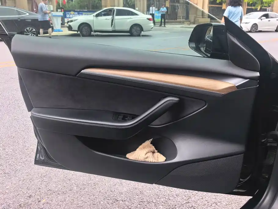 Tesla Model 3 — миниатюра 7