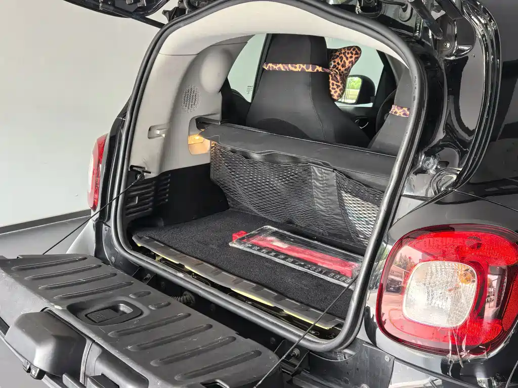 smart Smart Fortwo — миниатюра 8
