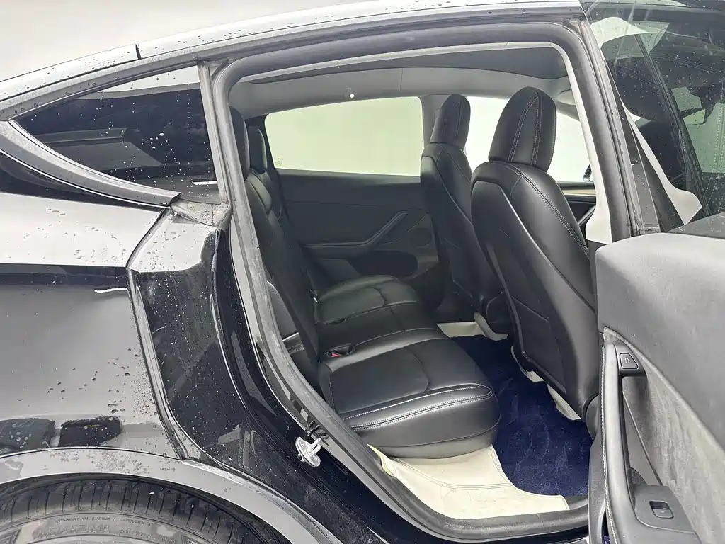 Tesla Model Y — миниатюра 11