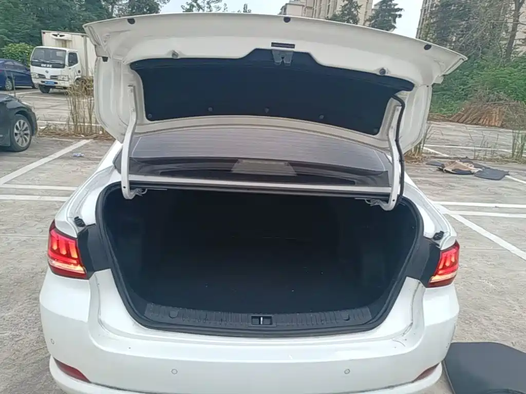 BAIC Senova D50 — миниатюра 19
