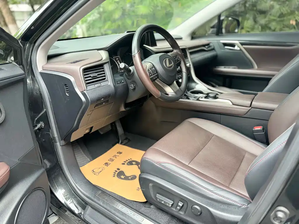 Lexus RX 2020 300 Elegant VI