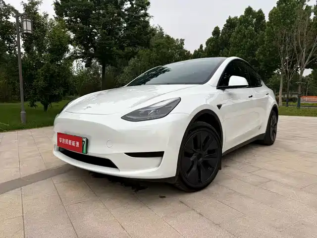 Tesla Model