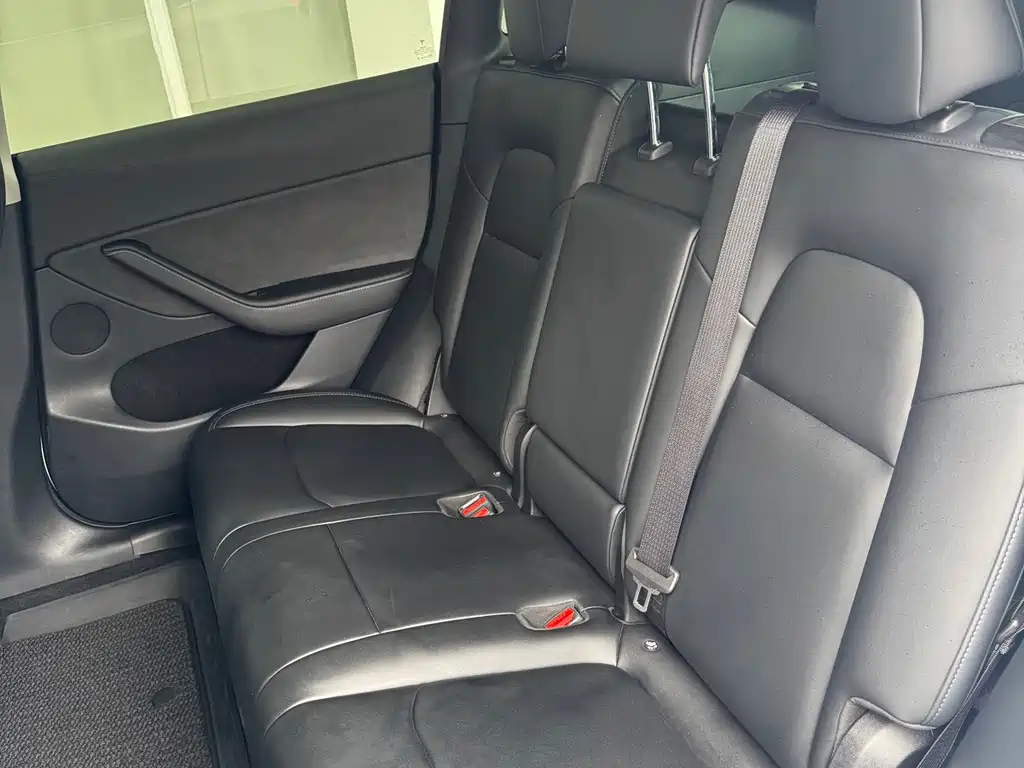 Tesla Model Y — миниатюра 10