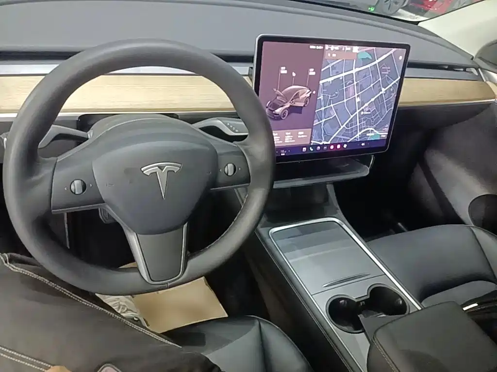 Tesla Model Y — миниатюра 10