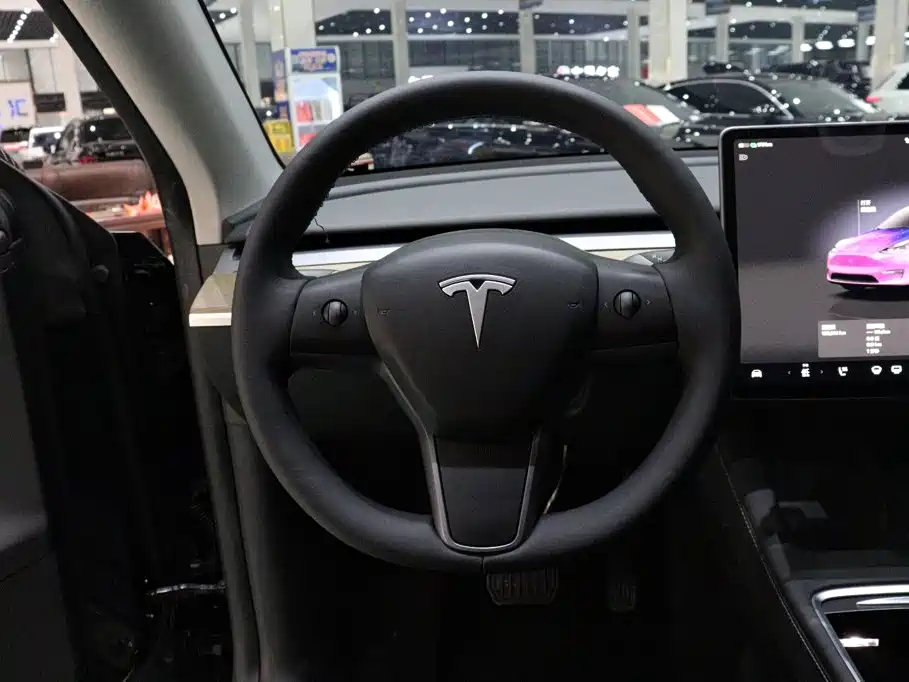 Tesla Model Y — миниатюра 12