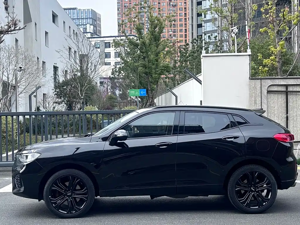 WEI PAI WEI BRAND VV5