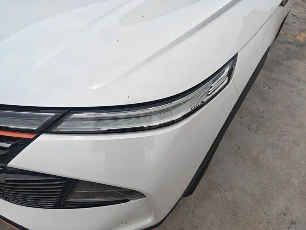 Haval Shenshou — миниатюра 24